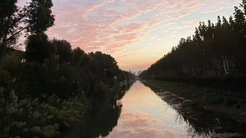 公司经营范围增项，自己办和找代办哪个更划算